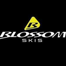 blossom-logo-1